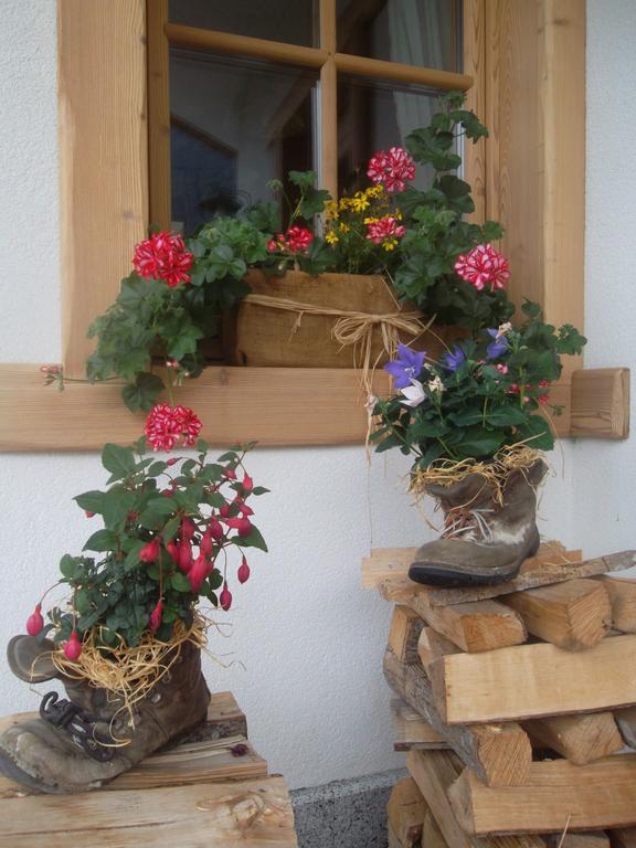Agriturismo Maso Grisun Borzago Zewnętrze zdjęcie