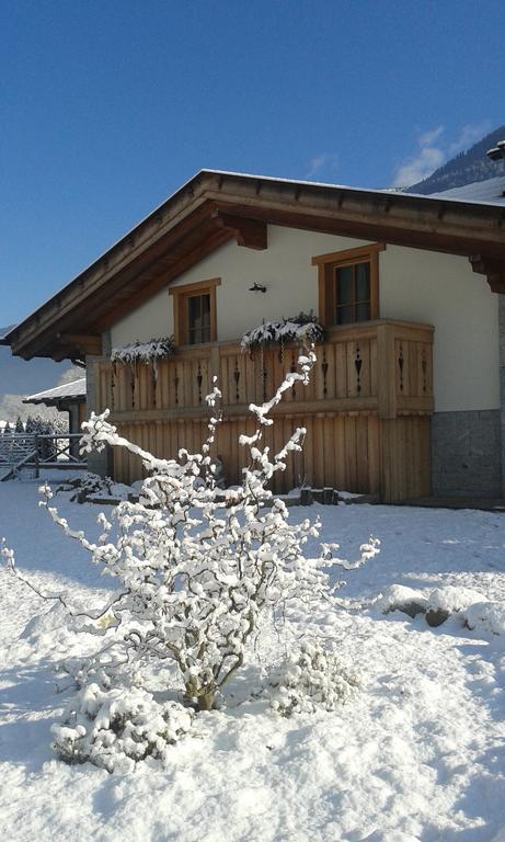 Agriturismo Maso Grisun Borzago Zewnętrze zdjęcie