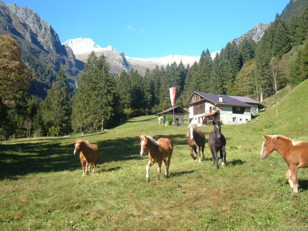 Agriturismo Maso Grisun Borzago Zewnętrze zdjęcie