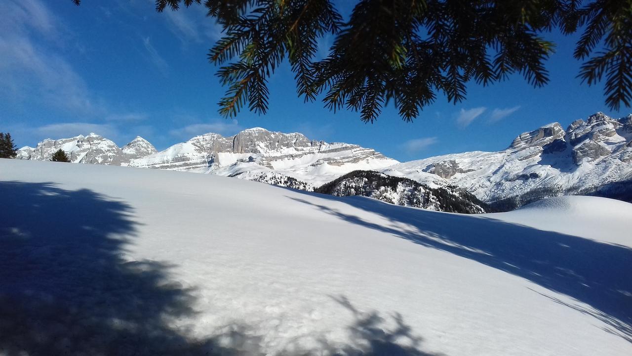 Agriturismo Maso Grisun Borzago Zewnętrze zdjęcie