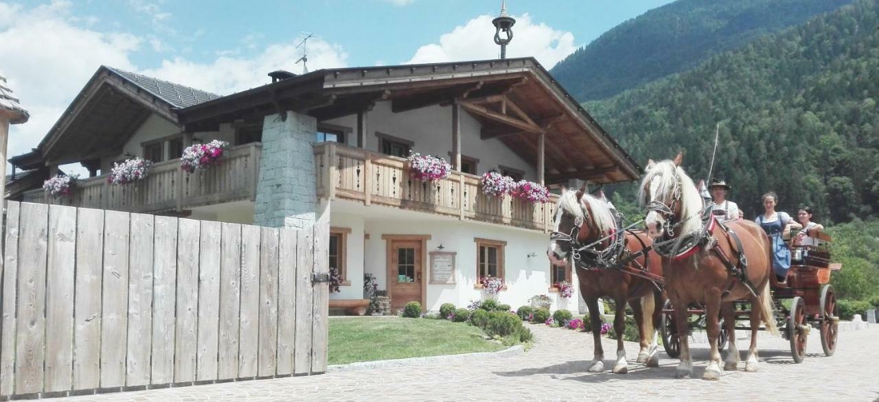 Agriturismo Maso Grisun Borzago Zewnętrze zdjęcie
